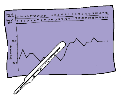 Fertility line drawing